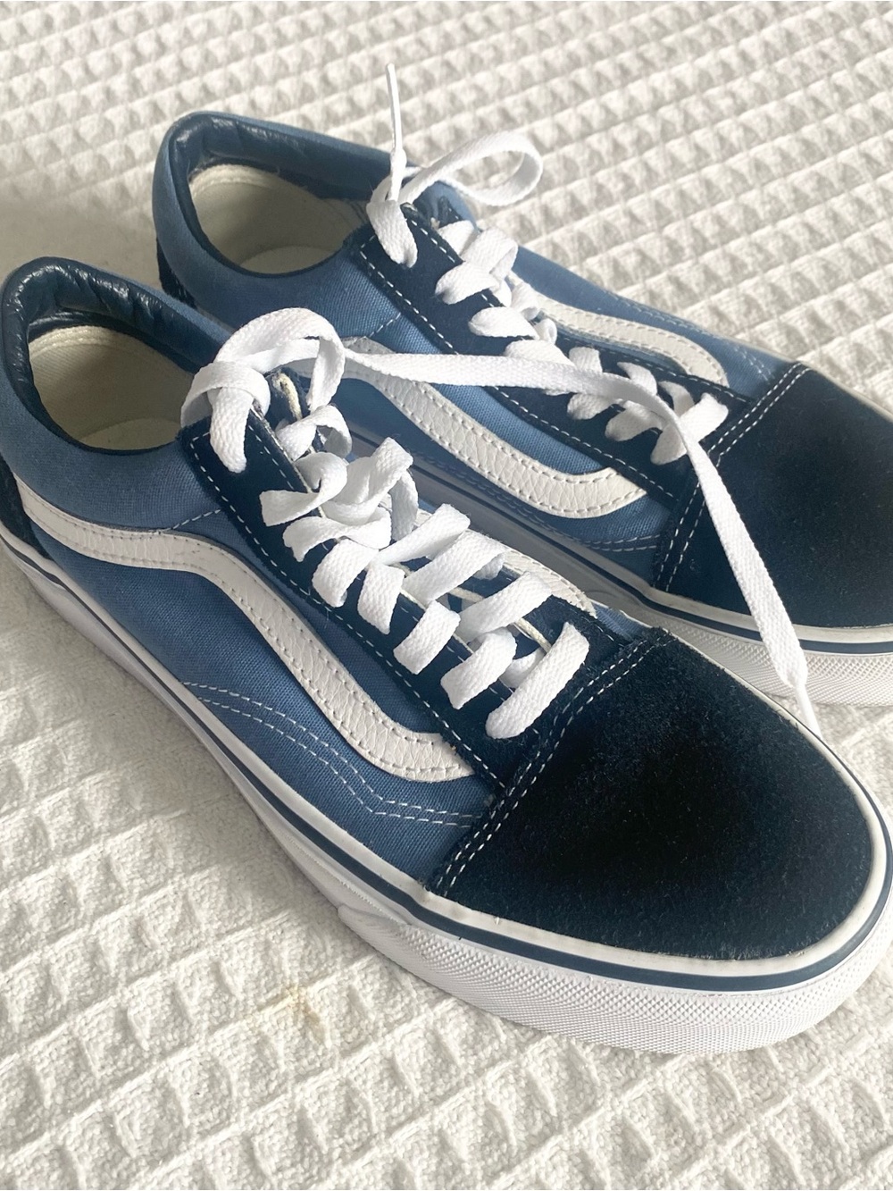 Vans Two-Tone Blue and Black Low-Top Skate Shoes